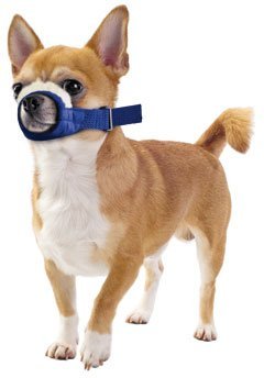 Xxsmall, Cozy Quick Muzzle Blue