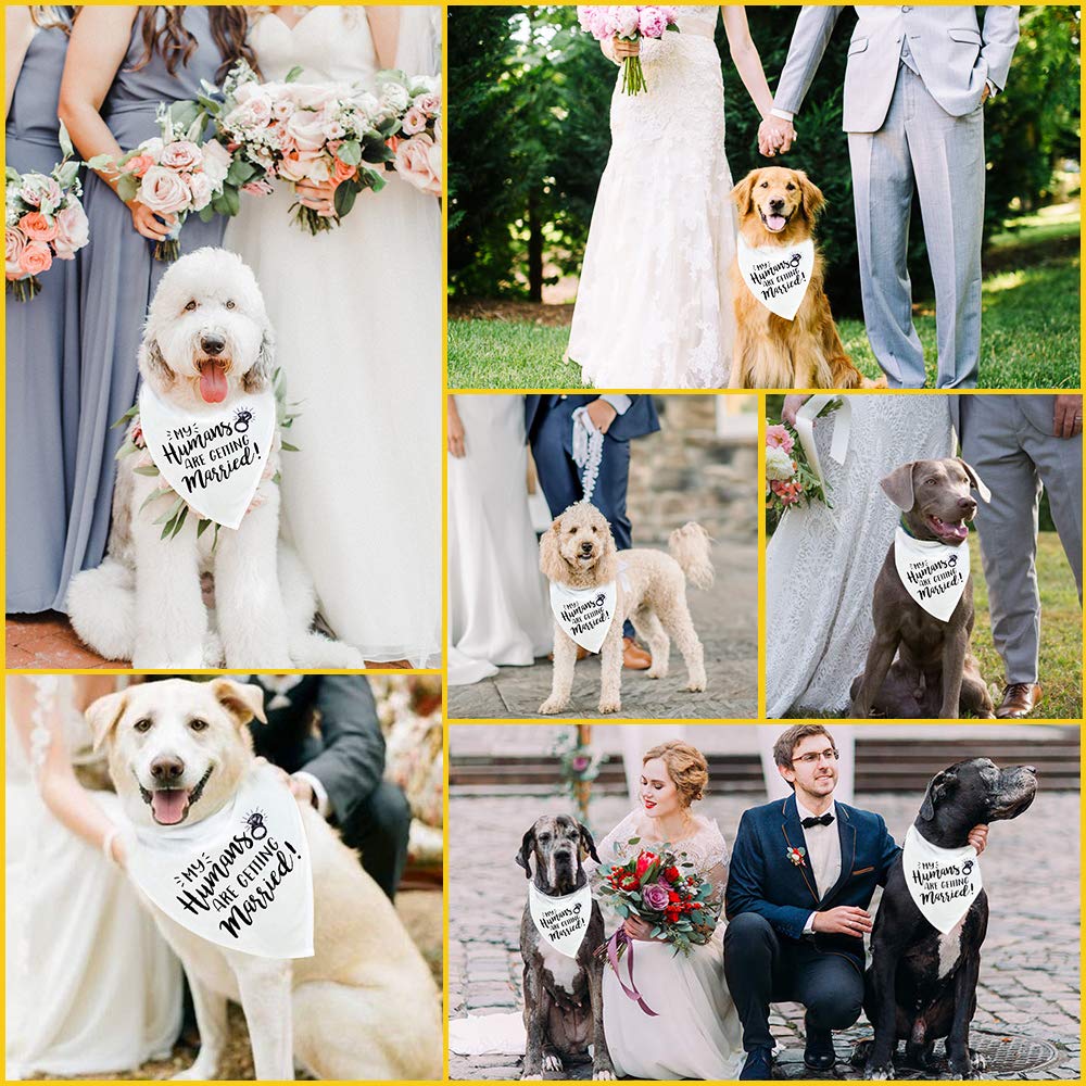 My Humans are Getting Married Dog Bandana, Wedding Dog Bandana, Dog Engagement Announcement, Wedding Photo Prop, Pet Scarf, PetPhoto Prop, Pet Scarf, Pet