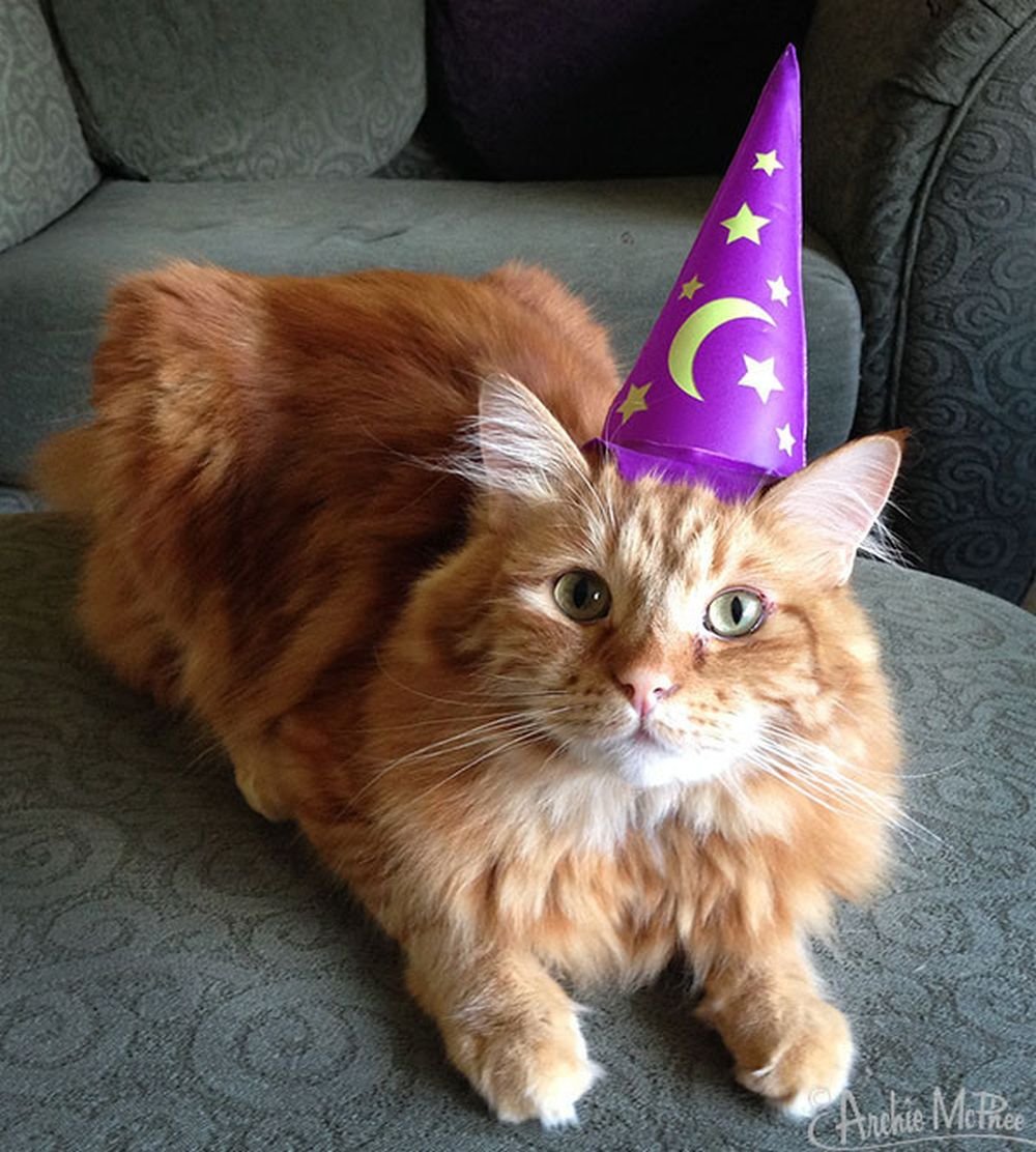 INFLATABLE WIZARD HAT FOR CATS by Accoutrements