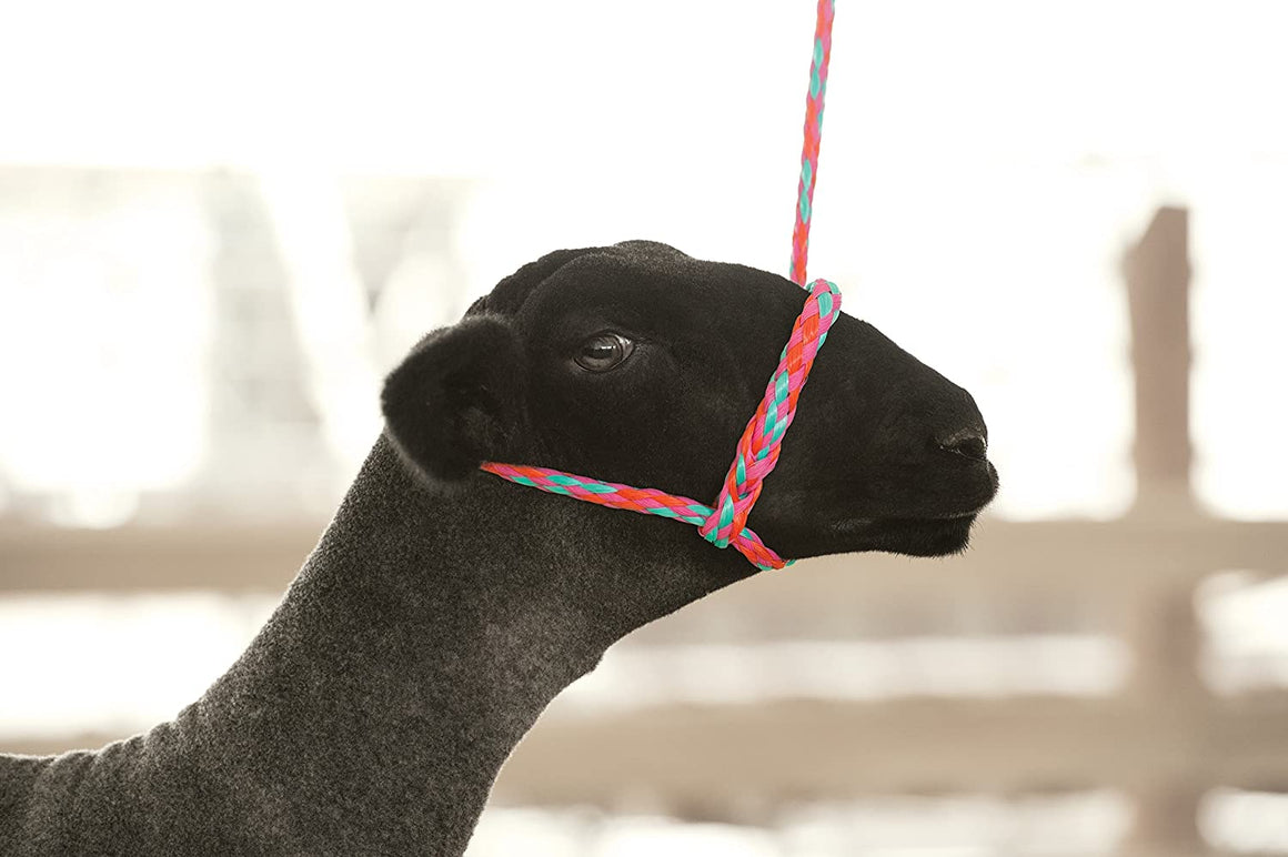 Weaver Livestock Poly Rope Sheep Halter