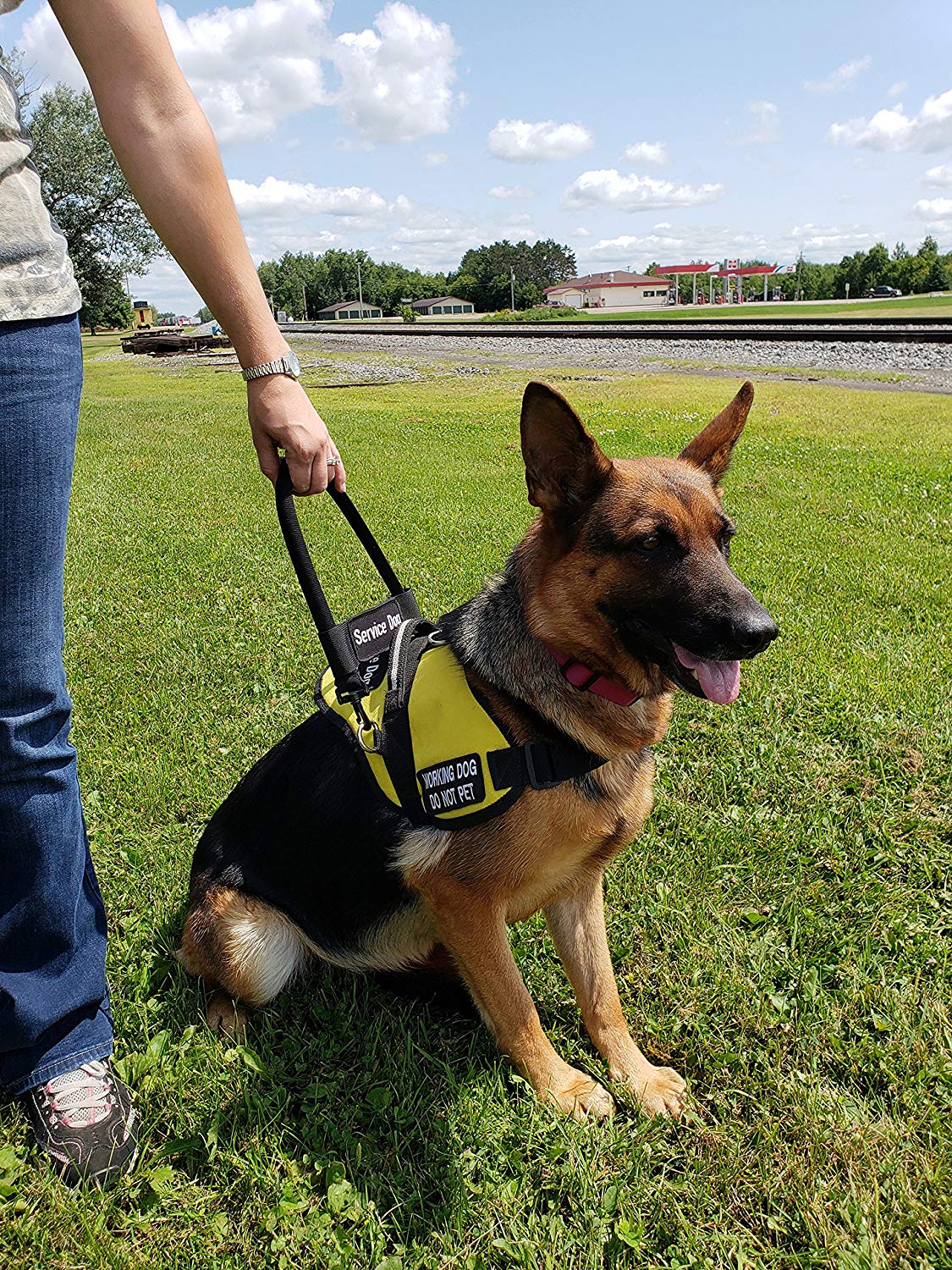 Activedogs Nylon Clip-on Bridge Handle 12" Black for Service Dog Vest & Harnesses, Heavy Duty Metal Clips w/Removable Service Dog ID Band